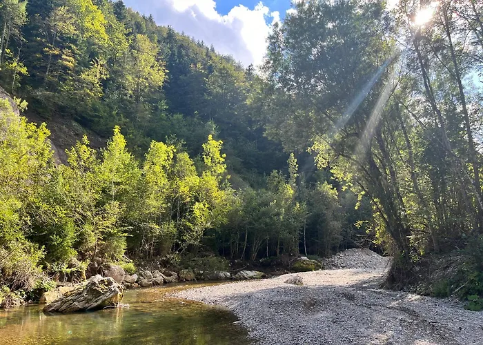 Gaj Pod Brezami
