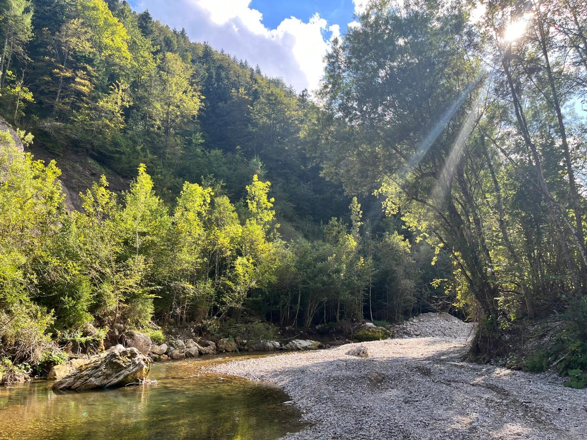 Gaj Pod Brezami Homestay Luce