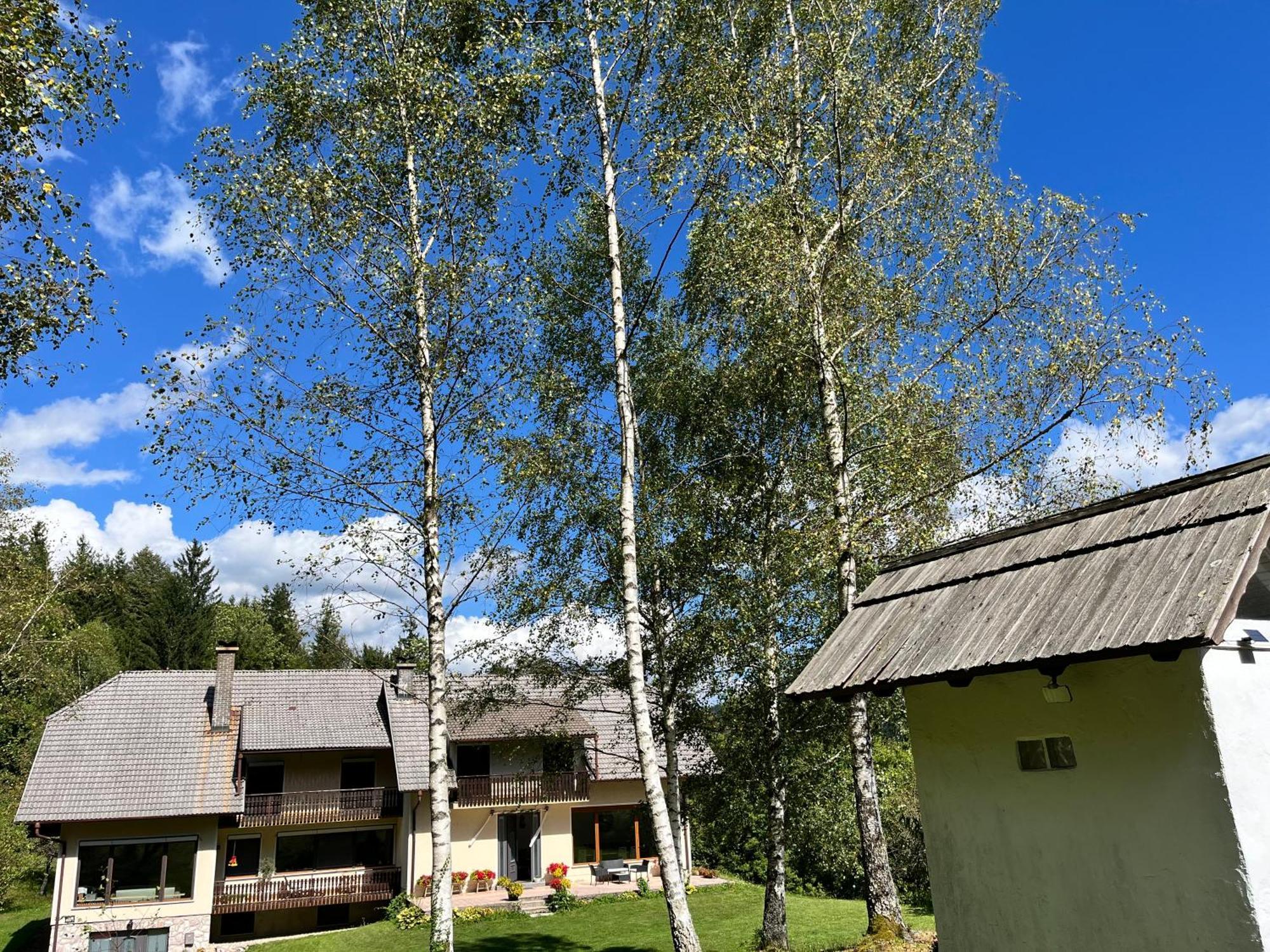 Gaj Pod Brezami *